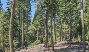 403 Sierra Pkwy, Camp Connell, CA 95223