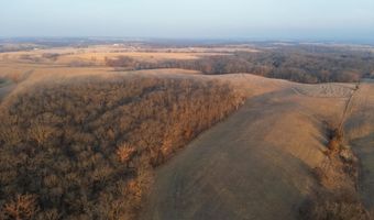 197 Th Trl, Albia, IA 52531