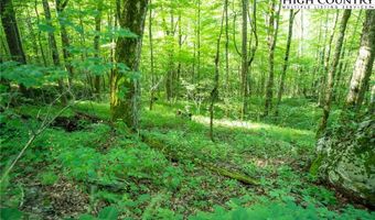 Tbd Tynecastle Drive, Banner Elk, NC 28604