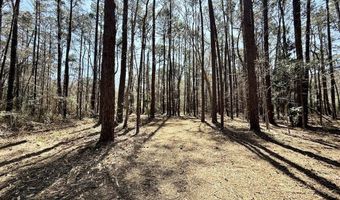 0 Lot 1 Creek Place Rd, Arapahoe, NC 28510