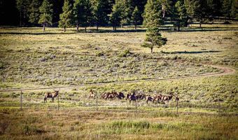 27502 US Highway 64 Roadrunner Tours, Angel Fire, NM 87710