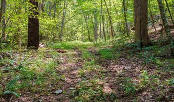 4375 TAYLOR CREEK Rd, Afton, VA 22920