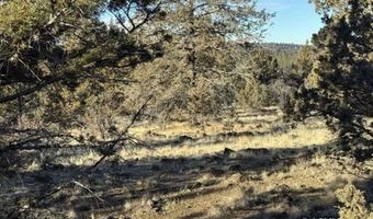 Canvasback Drive, Bonanza, OR 97623