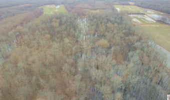 Holloway Landing Road, Barlow, KY 42024