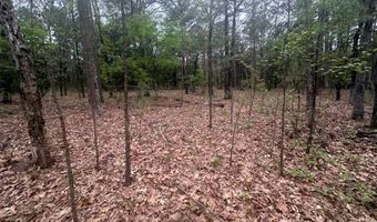 UNIT # 263B KIAMICHI WILDERNESS RD Unit # 63 63, Antlers, OK 74523