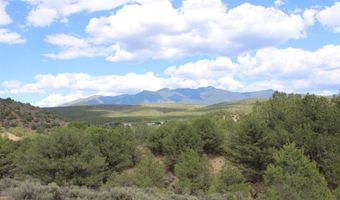 Tract 11 Trementina, Arroyo Hondo, NM 87513