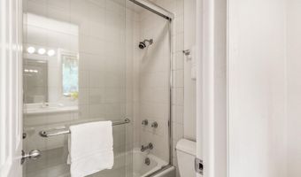 1275 Snowbunny Lane 2, Aspen, CO 81611