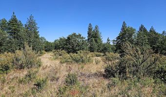 67 TIMBER Ln, Bickleton, WA 99322