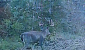 001 Farr Rd, Bolton, MS 39041