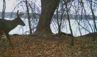 Lot 38 Lakota Island Estates, Big Stone City, SD 57216
