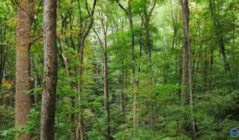 1 County Road 31, Ashland, AL 36251