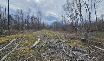 295 Shellstone Rd, Amsterdam, NY 12010