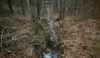 0- Lot 7 Piney Mountain Rd, Appomattox, VA 24522