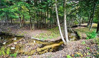 5441 Valley Rd, Alanson, MI 49706