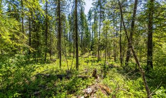 1140 Salee Creek Rd, Bayview, ID 83803