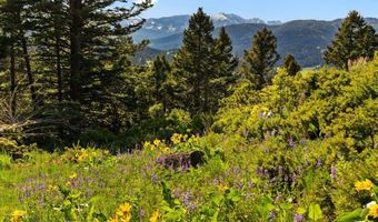 590 Middle Skunk Crk, Bozeman, MT 59715