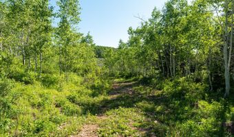 Tbd CARROLL Lane, Daniel, WY 83115