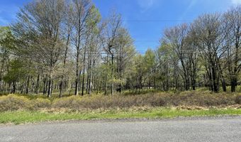 Forest Hill Drive, Blakeslee, PA 18610