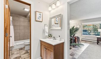 412 S Main St 111, Breckenridge, CO 80424