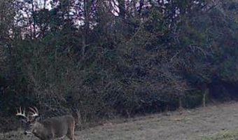 Hwy 131, Baker Hill, AL 36027