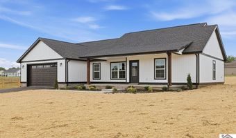 389 Washington Dr, Almo, KY 42020