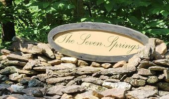 Pheasant Chase lot 3812 81 T, Ararat, VA 24053