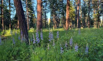 785 La Brant Rd, Bigfork, MT 59911
