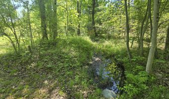 2115 Drummond Rd, Alger, MI 48610