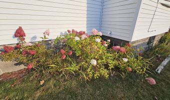 306 Elizabeth St, Alpena, MI 49707