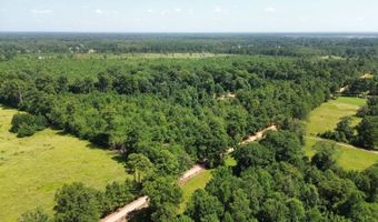 160 LR 717, Ashdown, AR 71822