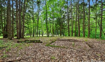8275 Bailey Dr SE, Ada, MI 49301