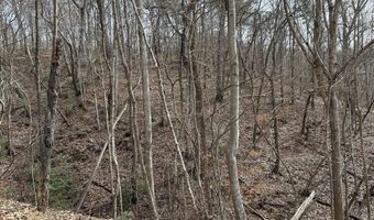 Highway 105, Baldwin, GA 30511