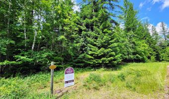 13727 Big Hawk Dr, Bigfork, MT 59911