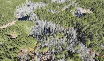 00 Hadwin Rd, Bamberg, SC 29003