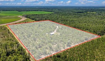 7000 NW 7th Way, Bell, FL 32619