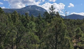 Robertos Lane, Arroyo Seco, NM 87514