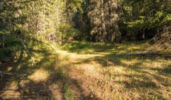 Nna Kootenai Trail Rd, Bonners Ferry, ID 83805