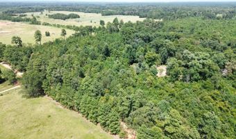 160 LR 717, Ashdown, AR 71822