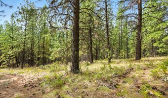 NNA USFS 2550 40 acres, Blanchard, ID 83804