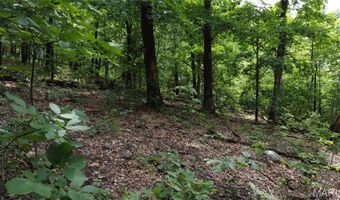 13 Hidden Vly Lks, Annapolis, MO 63620