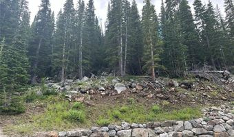 355 QUANDARY VIEW Dr, Breckenridge, CO 80424