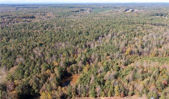 11 34 Acres Scotts Bottom Rd, Arvonia, VA 23004