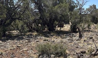 26 Spruce Dr Rd # 8051, Concho, AZ 85924