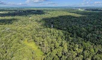 0000 73rd Way, Bell, FL 32619