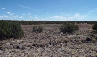 8085 County Rd, Concho, AZ 85924