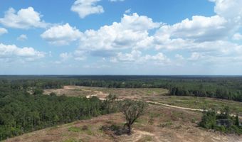 SE Cole Drive, Bogue Chitto, MS 39629