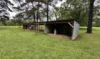 704 Pinola Braxton Rd, Braxton, MS 39044