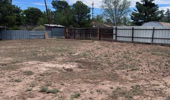 1306 N 8th St, Alpine, TX 79830