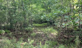 930 ANNISTON BEACH Rd Lot 0, Anniston, AL 36206