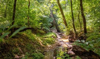 23680 Highway 58, Baskerville, VA 23915